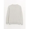 LCW Casual GRİ Bisiklet Yaka Uzun Kollu Baskılı Erkek Sweatshirt