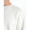 LCW Casual EKRU Bisiklet Yaka Uzun Kollu Erkek Kalın Sweatshirt
