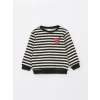 LCW Kids SİYAH Bisiklet Yaka Baskılı Kız Bebek Sweatshirt 2li