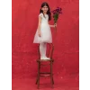 LCW Kids Beyaz Bisiklet Yaka Kısa Kollu Kız Çocuk Tül Elbise