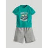 LCW Kids Yeşil Baskılı Erkek Çocuk Tişört ve Şort 2li