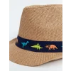 LCW ACCESSORIES Bej Dinozor Baskılı Erkek Çocuk Hasır Fötr Şapka