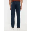 LCW Jeans Yeşil 779 Regular Fit Erkek Jean Pantolon