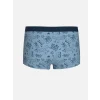LCW Kids Mavi Baskılı Erkek Çocuk Boxer 3lü