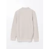 LCWAIKIKI Classic Bej Polo Yaka Uzun Kollu Erkek Sweatshirt