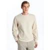 LCWAIKIKI Classic Bej Bisiklet Yaka Uzun Kollu Erkek Sweatshirt