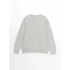 XSIDE Gri Bisiklet Yaka Uzun Kollu Erkek Sweatshirt