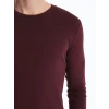 LCWAIKIKI Classic Bordo Bisiklet Yaka Uzun Kollu Penye Erkek Tişört