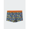 LCW Kids Mavi Baskılı Erkek Çocuk Boxer 3lü