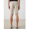 LCW Vision Bej Standart Kalıp Çizgili Erkek Şort