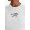 Defacto E3828 Gri DeFactoFit NBA Los Angeles Lakers Standart Fit Bisiklet Yaka Nakış Baskı Fitilli Kaşkorse Kısa Kollu Tişört