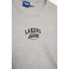 Defacto E3828 Gri DeFactoFit NBA Los Angeles Lakers Standart Fit Bisiklet Yaka Nakış Baskı Fitilli Kaşkorse Kısa Kollu Tişört