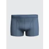 LC WAIKIKI Lacivert Standart Kalıp Pamuklu Esnek Erkek Boxer 3lü