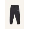 Defacto E8757AXAR212 Antrasit DeFactoFit NBA Brooklyn Nets Standart Fit Cepli Jogger