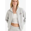 Defacto E9507AXGR93 Gri Relax Fit Yarım Balıkçı Yaka Baskılı Kalın Fermuarlı Sweatshirt