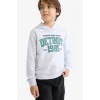 Defacto F2846A8GR400 Gri Erkek Çocuk Kapüşonlu Baskılı Sweatshirt