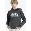 Defacto D4347A8AR58 Antrasit Erkek Çocuk Kapüşonlu İçi Yumuşak Tüylü Baskılı Sweatshirt