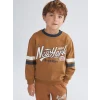 LCW Kids Kahverengi Bisiklet Yaka Baskılı Uzun Kollu Erkek Bebek Sweatshirt