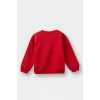 Defacto E9238A5RD79 Kırmızı Erkek Bebek Bisiklet Yaka Baskılı İçi Yumuşak Tüylü Sweatshirt