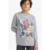 Defacto F4813A8GR455 Gri Erkek Çocuk Marvel Games Spiderman Bisiklet Yaka Uzun Kollu Tişört