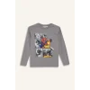 Defacto F4813A8GR455 Gri Erkek Çocuk Marvel Games Spiderman Bisiklet Yaka Uzun Kollu Tişört