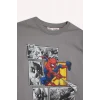 Defacto F4813A8GR455 Gri Erkek Çocuk Marvel Games Spiderman Bisiklet Yaka Uzun Kollu Tişört