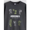 LC WAIKIKI Antrasit Bisiklet Yaka Minecraft Baskılı Erkek Çocuk Sweatshirt