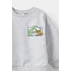 Defacto F5020A5GR396 Gri Erkek Bebek Bisiklet Yaka Dinozor Baskılı İçi Yumuşak Tüylü Sweatshirt