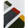LCW ACCESSORIES Karişik Renk Bloklu Erkek Soket Çorap 5li