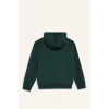 Defacto E9596A8GN245 Yeşil Erkek Çocuk Kapüşonlu Baskılı İçi Yumuşak Tüylü Sweatshirt