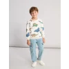 LCW Kids Karışık Dinazor Baskılı Erkek Çocuk Kalın Sweatshirt
