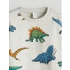 LCW Kids Karışık Dinazor Baskılı Erkek Çocuk Kalın Sweatshirt