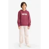 Defacto F9917A8BR170 Bordo Erkek Çocuk One Piece Kapüşonlu İçi Yumuşak Tüylü Sırt Baskılı Sweatshirt