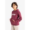 Defacto F9917A8BR170 Bordo Erkek Çocuk One Piece Kapüşonlu İçi Yumuşak Tüylü Sırt Baskılı Sweatshirt