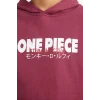 Defacto F9917A8BR170 Bordo Erkek Çocuk One Piece Kapüşonlu İçi Yumuşak Tüylü Sırt Baskılı Sweatshirt