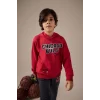 Defacto F4087A8RD62 Kırmızı Erkek Çocuk NBA Chicago Bulls Kapüşonlu Sweatshirt