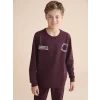 LCW Kids Mürdüm Bisiklet Yaka Erkek Çocuk Sweatshirt