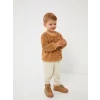 LCW baby Bej Bisiklet Yaka Uzun Kollu Nakış Detaylı Pelüş Erkek Bebek Sweatshirt