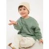LCW baby Yeşil Bisiklet Yaka Uzun Kollu Baskılı Erkek Bebek Sweatshirt