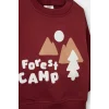 Defacto E9279A5BR281 Bordo Erkek Bebek 2li Takım Baskılı Sweatshirt Eşofman Altı