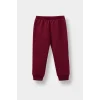 Defacto F0543A5BR285 Bordo Kız Bebek 2li Takım Baskılı İçi Yumuşak Tüylü Sweatshirt Eşofman Altı