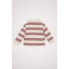 Defacto D6676A5PN429 Pembe Kız Bebek Bebe Yaka İçi Yumuşak Tüylü Çizgili Sweatshirt
