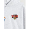 LCW Kids Gri Brawl Stars Baskılı Erkek Çocuk Kalın Sweatshirt