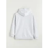 LCW Kids Gri Brawl Stars Baskılı Erkek Çocuk Kalın Sweatshirt
