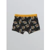 LCW Kids Gri Baskılı Erkek Çocuk Boxer 3lü