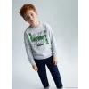 LCW Kids Gri Bisiklet Yaka Minecraft Baskılı Erkek Çocuk Kalın Sweatshirt