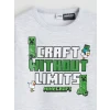 LCW Kids Gri Bisiklet Yaka Minecraft Baskılı Erkek Çocuk Kalın Sweatshirt