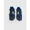LCW ACCESSORIES Lacivert Baskılı Erkek Çocuk Kar Eldiveni