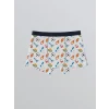LCW Kids Gri Baskılı Erkek Çocuk Boxer 3lü