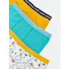 LCW Kids Gri Baskılı Erkek Çocuk Boxer 3lü